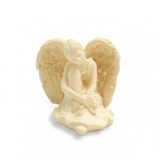 Serenity Amazing Angel 