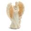 Protection Amazing Angel