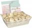 Worry Stone 36 Piece Assortment