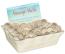 Message Shells 72pc Assortment
