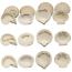 Refill - Message Shells 72pc Assortment
