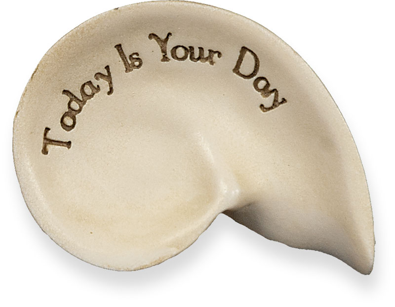 Today is your Day - Message Shell