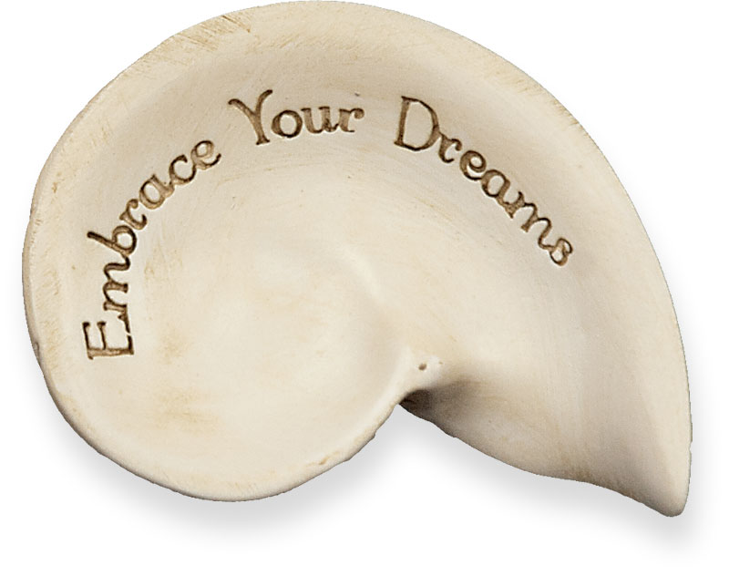 Embrace your Dreams - Message Shell  