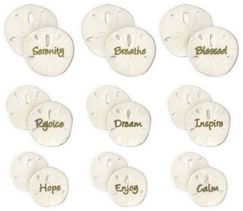 Refill - Sand Dollar Sentiments 54pc Assortment