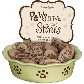 48 Piece Pawsitive Pocket Stones Assortment