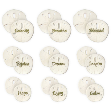 Refill - Sand Dollar Sentiments 54pc Assortment