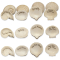 Message Shells 72pc Assortment